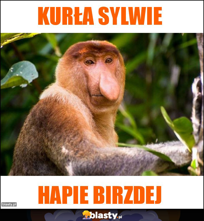 Kurła Sylwie Kurła Sylwie