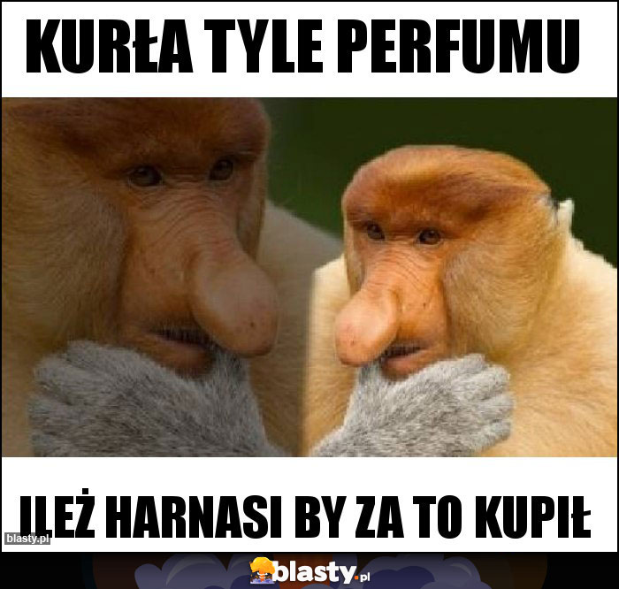 Kurła Tyle perfumu Kurła Tyle perfumu