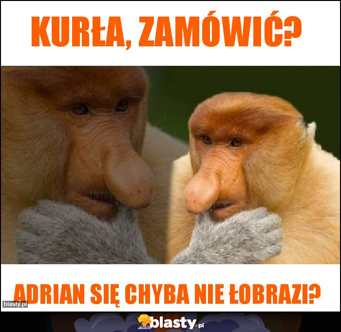 Kurła, zamówić? Kurła, zamówić?