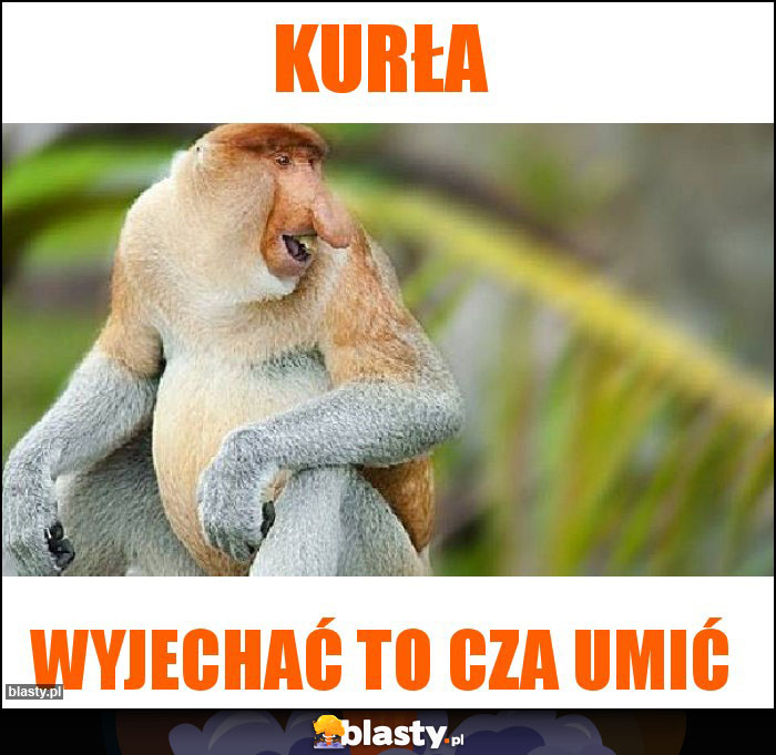 Kurła