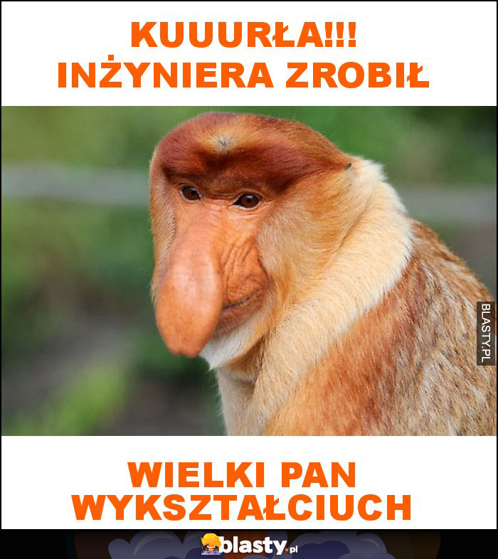 KUUURŁA!!! INŻYNIERA ZROBIŁ KUUURŁA!!! INŻYNIERA ZROBIŁ