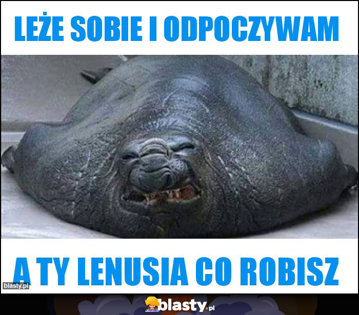 Leże sobie i odpoczywam Leże sobie i odpoczywam