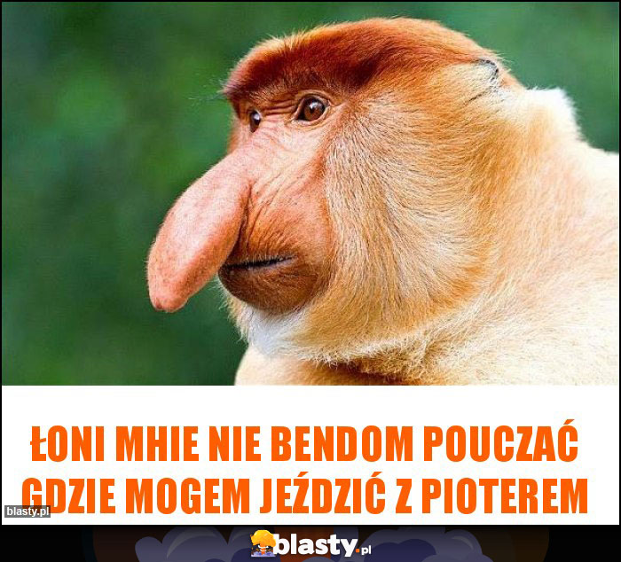 Łoni mhie nie bendom pouczać gdzie mogem jeździć z Pioterem Łoni mhie nie bendom pouczać gdzie mogem jeździć z Pioterem