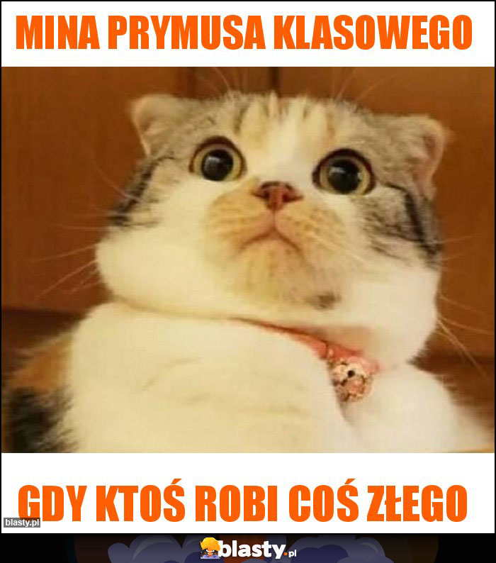 Mina prymusa klasowego Mina prymusa klasowego