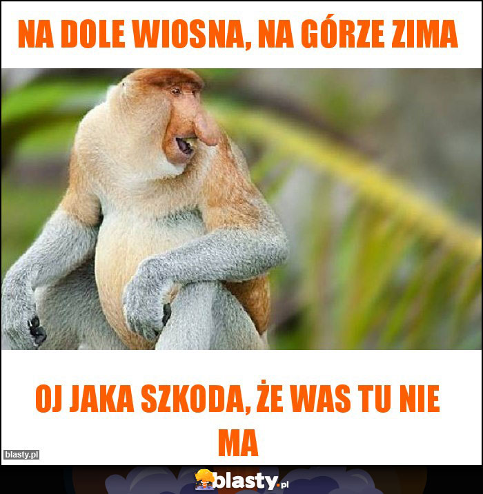 Na dole wiosna, na górze zima Na dole wiosna, na górze zima