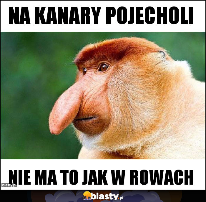 Na kanary pojecholi Na kanary pojecholi