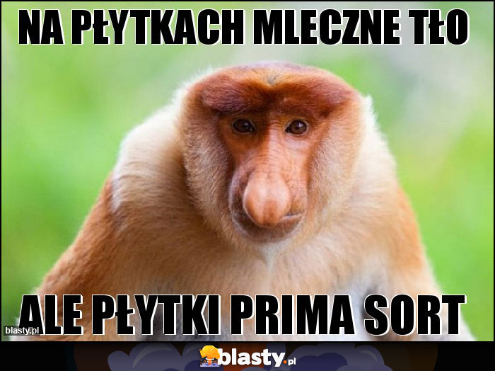 Na płytkach mleczne tło Na płytkach mleczne tło