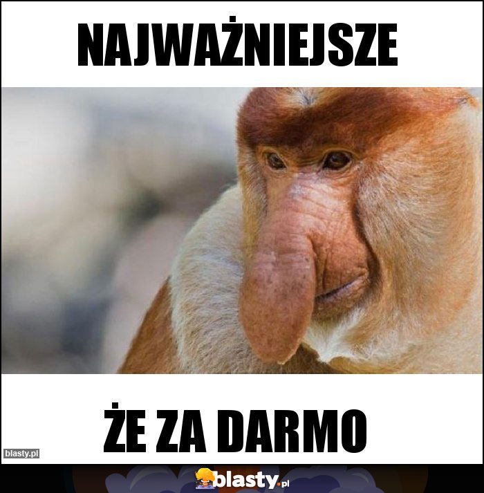 Najważniejsze Najważniejsze