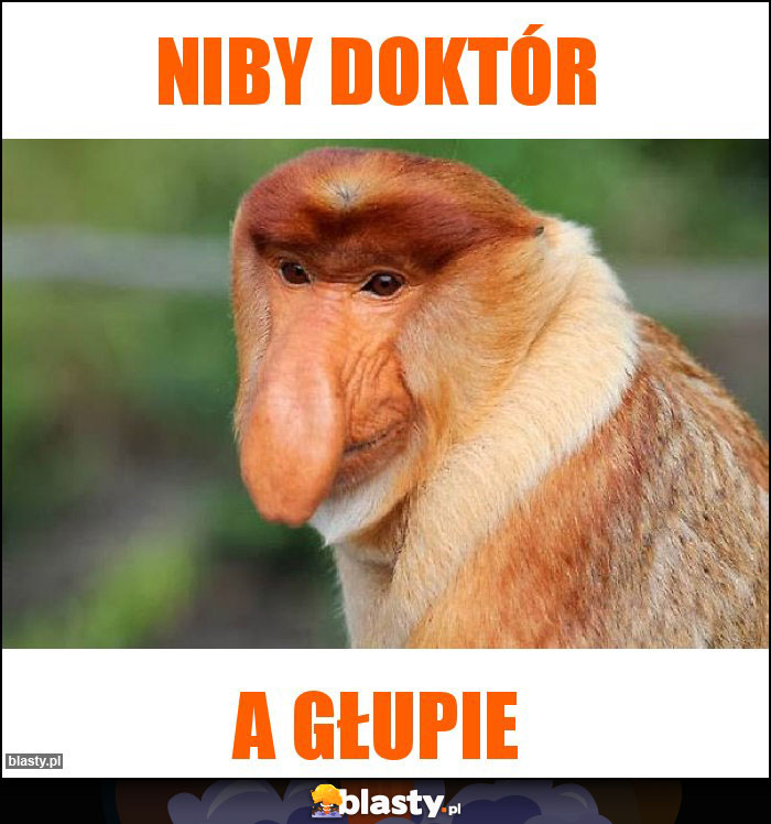 Niby doktór