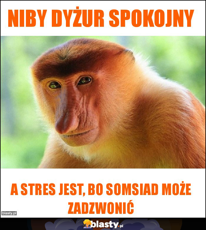 Niby dyżur spokojny Niby dyżur spokojny