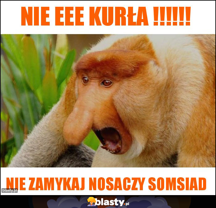 Nie Eee kurła !!!!!! Nie Eee kurła !!!!!!