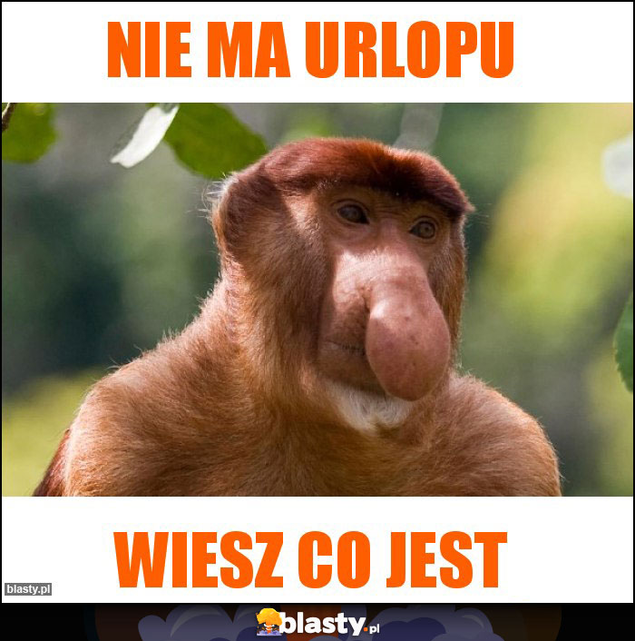 Nie ma urlopu Nie ma urlopu