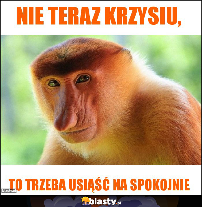 Nie teraz Krzysiu, Nie teraz Krzysiu,