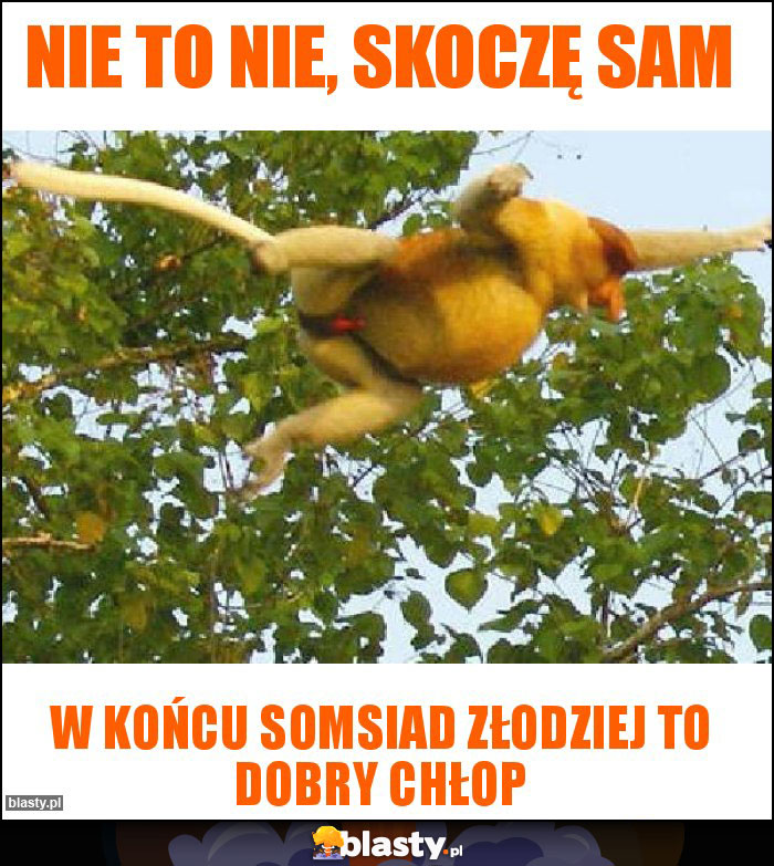 Nie to nie, skoczę sam Nie to nie, skoczę sam