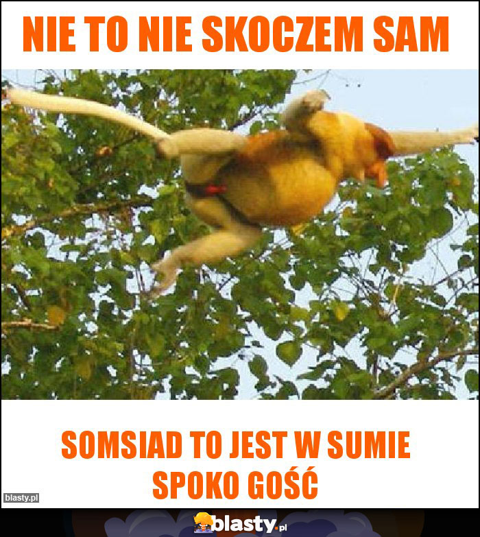 Nie to nie skoczem sam Nie to nie skoczem sam