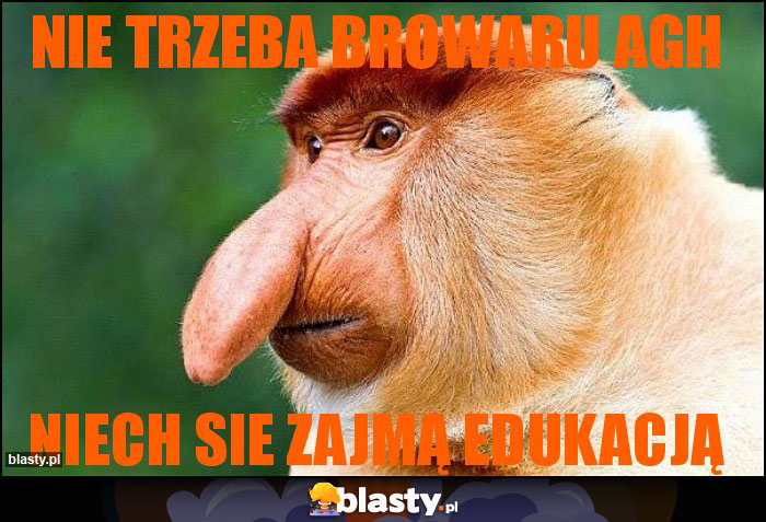 nie trzeba browaru AGH nie trzeba browaru AGH