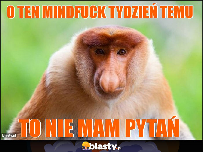 o ten mindfuck tydzień temu o ten mindfuck tydzień temu