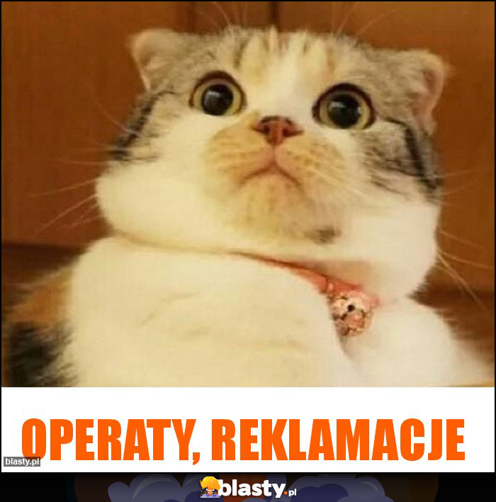 OPERATY, REKLAMACJE OPERATY, REKLAMACJE