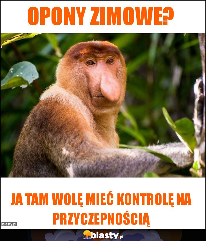 Opony zimowe?