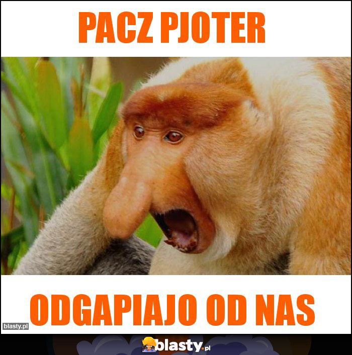PACZ PJOTER PACZ PJOTER