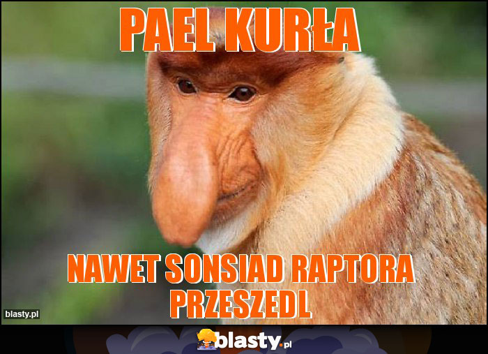 PAEL KURŁA PAEL KURŁA