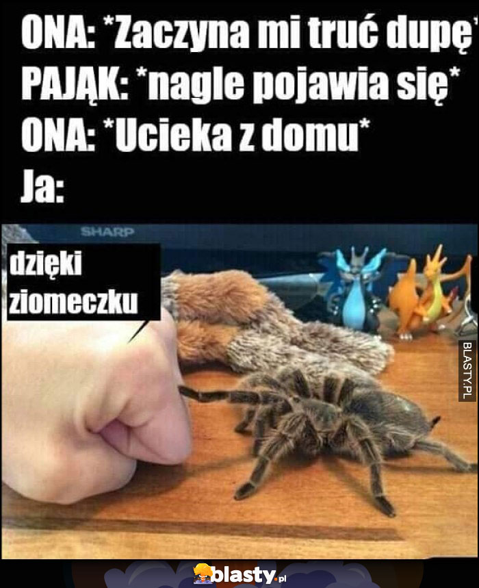 Pająk