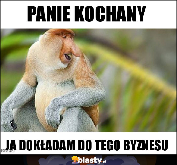 Panie Kochany Panie Kochany