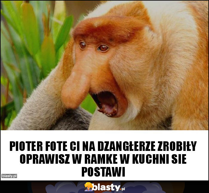 Pioter fote ci na dzangłerze zrobiły oprawisz w ramke w kuchni sie postawi Pioter fote ci na dzangłerze zrobiły oprawisz w ramke w kuchni sie postawi
