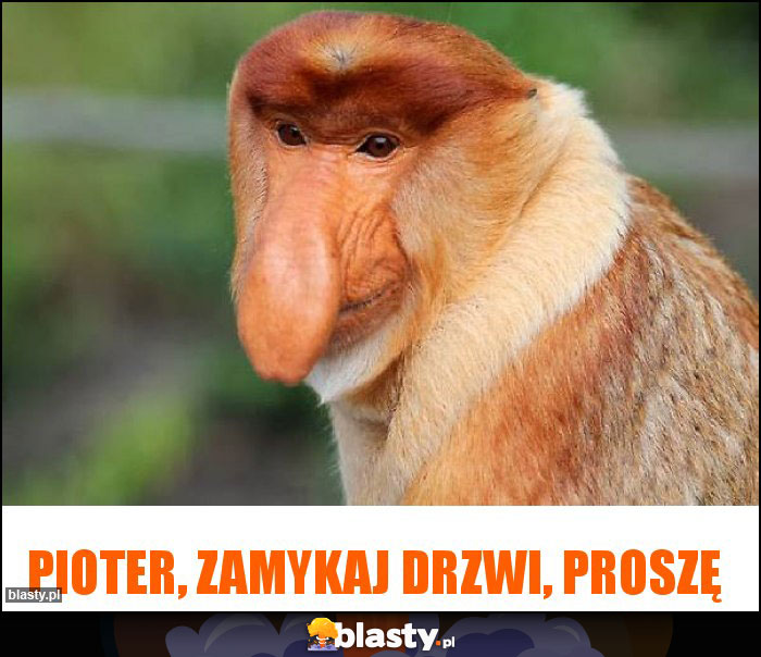 Pioter, zamykaj drzwi, proszę Pioter, zamykaj drzwi, proszę