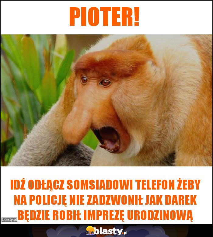 Pioter!