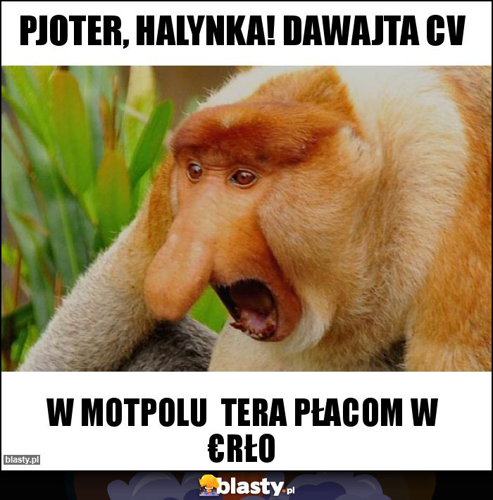 PJOTER, HALYNKA! DAWAJTA CV PJOTER, HALYNKA! DAWAJTA CV