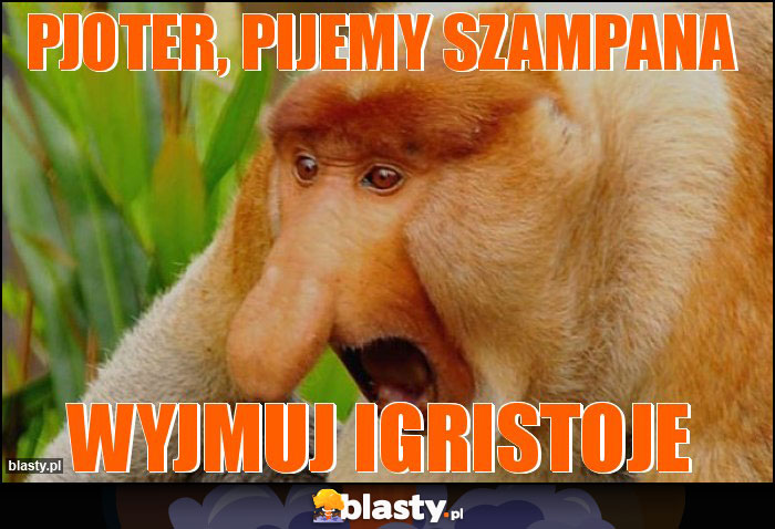 Pjoter, pijemy szampana