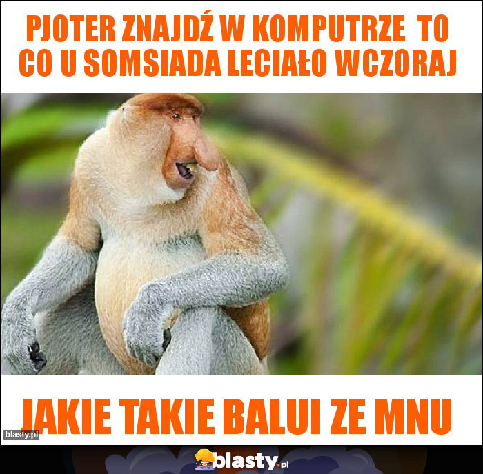 Pjoter znajdź w komputrze to co u somsiada leciało wczoraj Pjoter znajdź w komputrze to co u somsiada leciało wczoraj