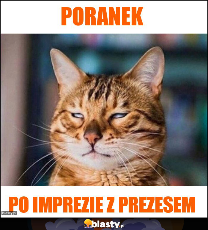 Poranek