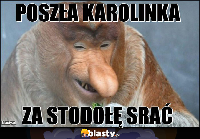 Poszła Karolinka Poszła Karolinka