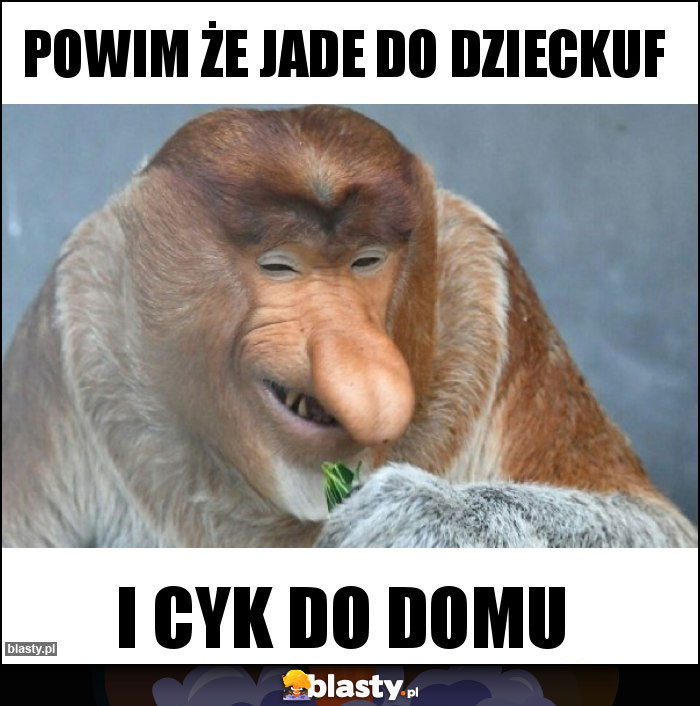 Powim że jade do dzieckuf Powim że jade do dzieckuf