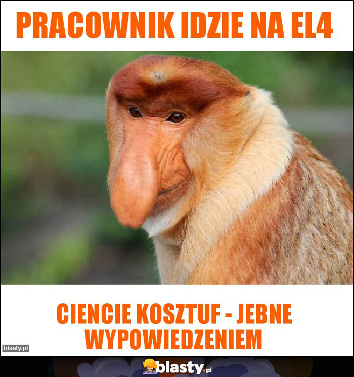 pracownik idzie na el4 pracownik idzie na el4