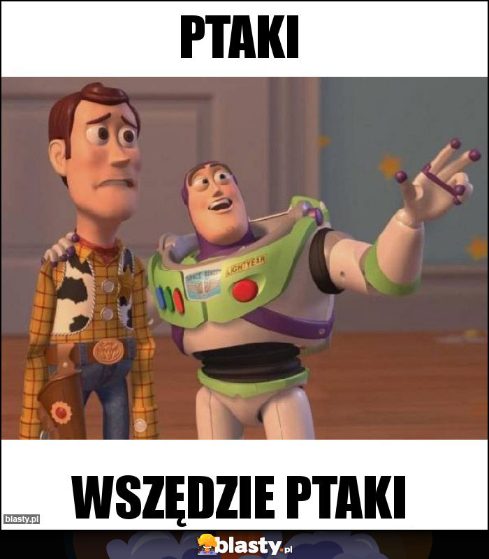 PTAKI