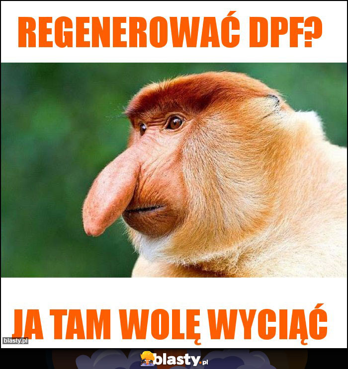regenerować dpf? regenerować dpf?