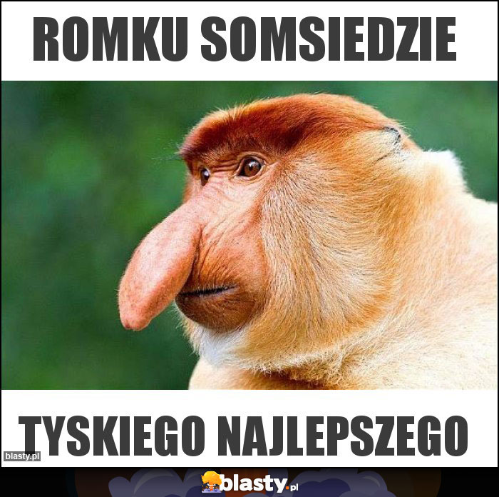 Romku somsiedzie Romku somsiedzie