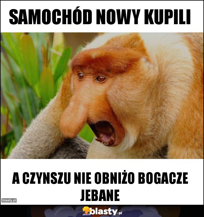 Samochód nowy kupili Samochód nowy kupili