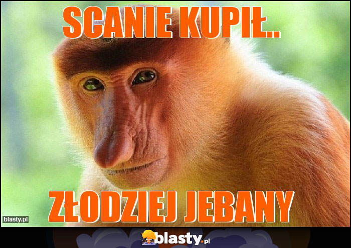 Scanie kupił.. Scanie kupił..