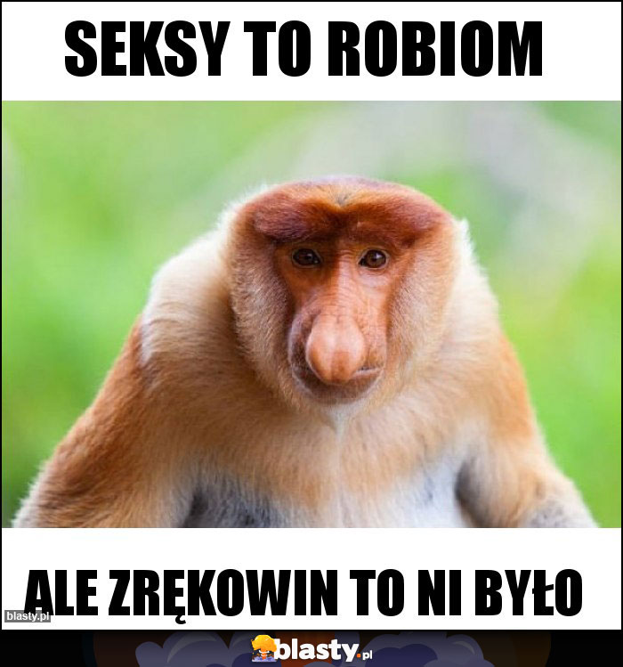 Seksy to robiom