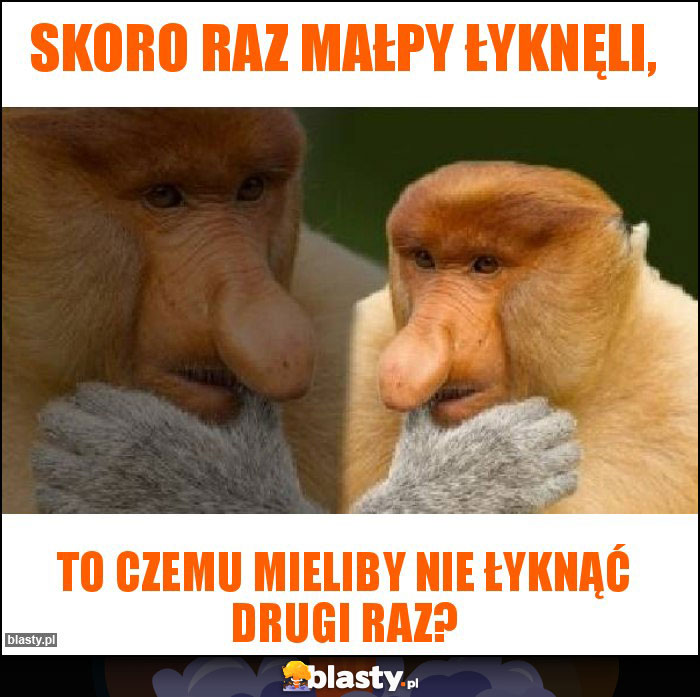 Skoro raz małpy łyknęli, Skoro raz małpy łyknęli,