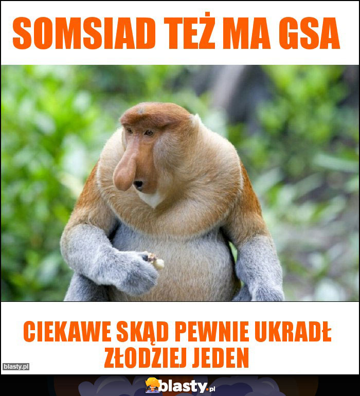 Somsiad też ma GSa Somsiad też ma GSa