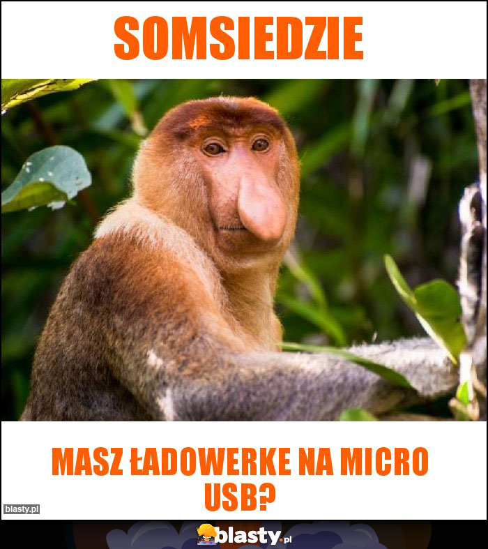 Somsiedzie Somsiedzie