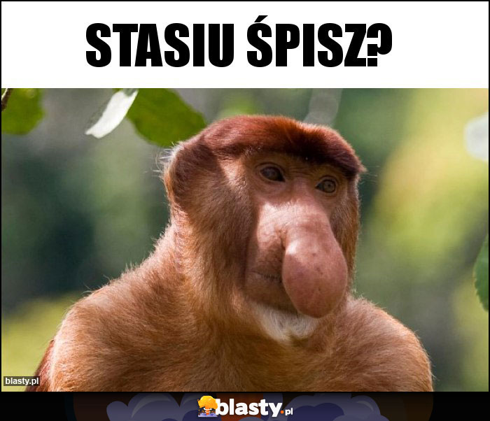 Stasiu Śpisz? Stasiu Śpisz?