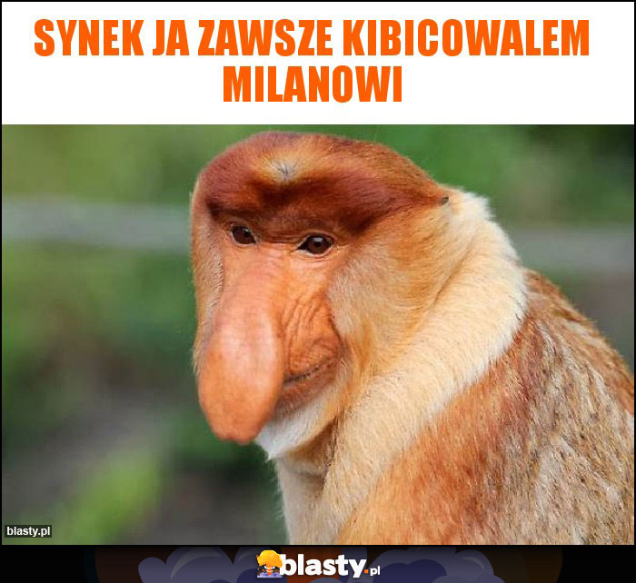 Synek Ja zawsze kibicowalem Milanowi