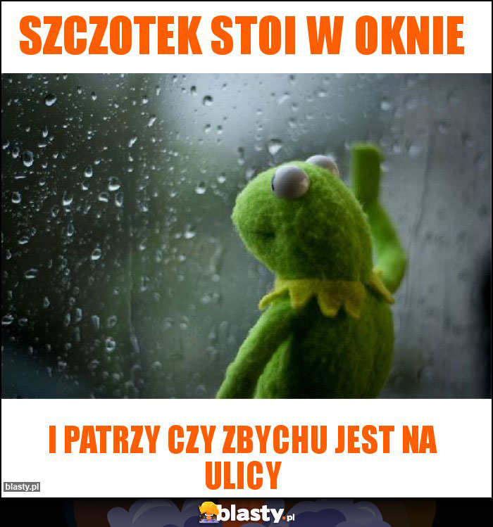 Szczotek stoi w oknie Szczotek stoi w oknie