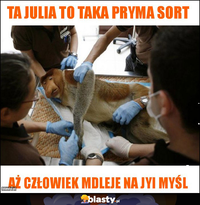 Ta Julia to taka pryma sort Ta Julia to taka pryma sort